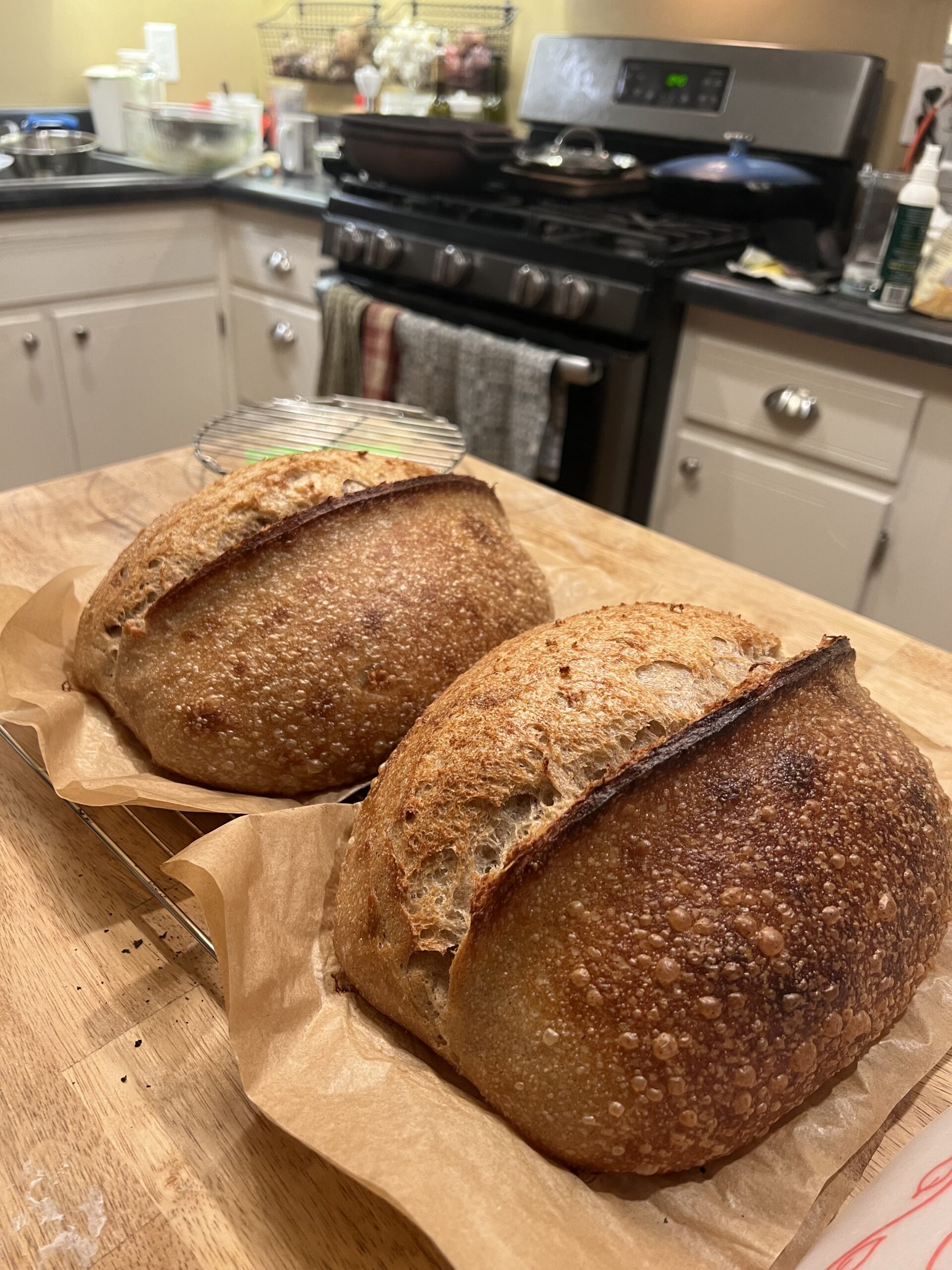 Making Your First Sourdough Is Easier Than You Think... The Beartaria